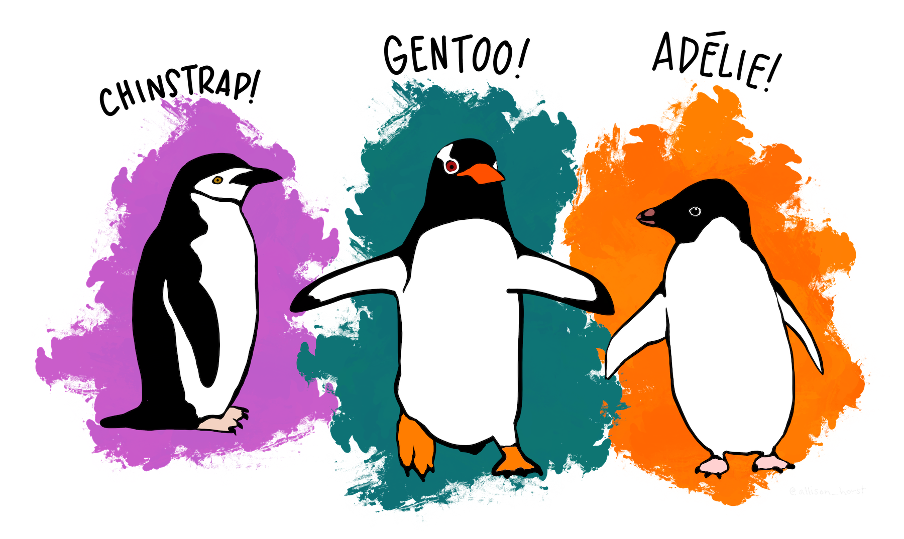 Palmer Penguins Classes